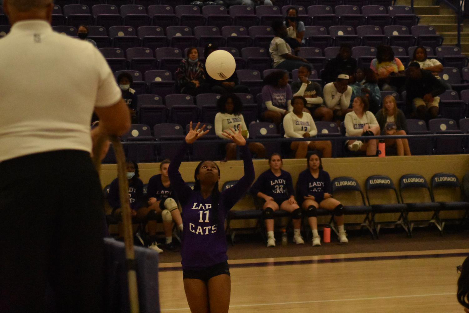 Lady Cats Go Against Hot Springs On Tuesday