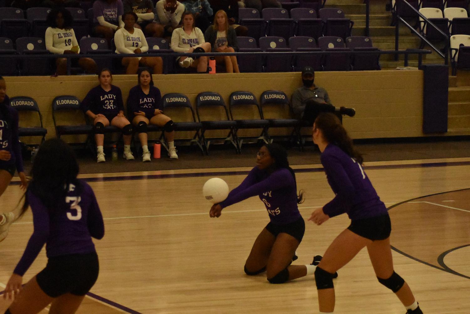 Lady Cats Go Against Hot Springs On Tuesday