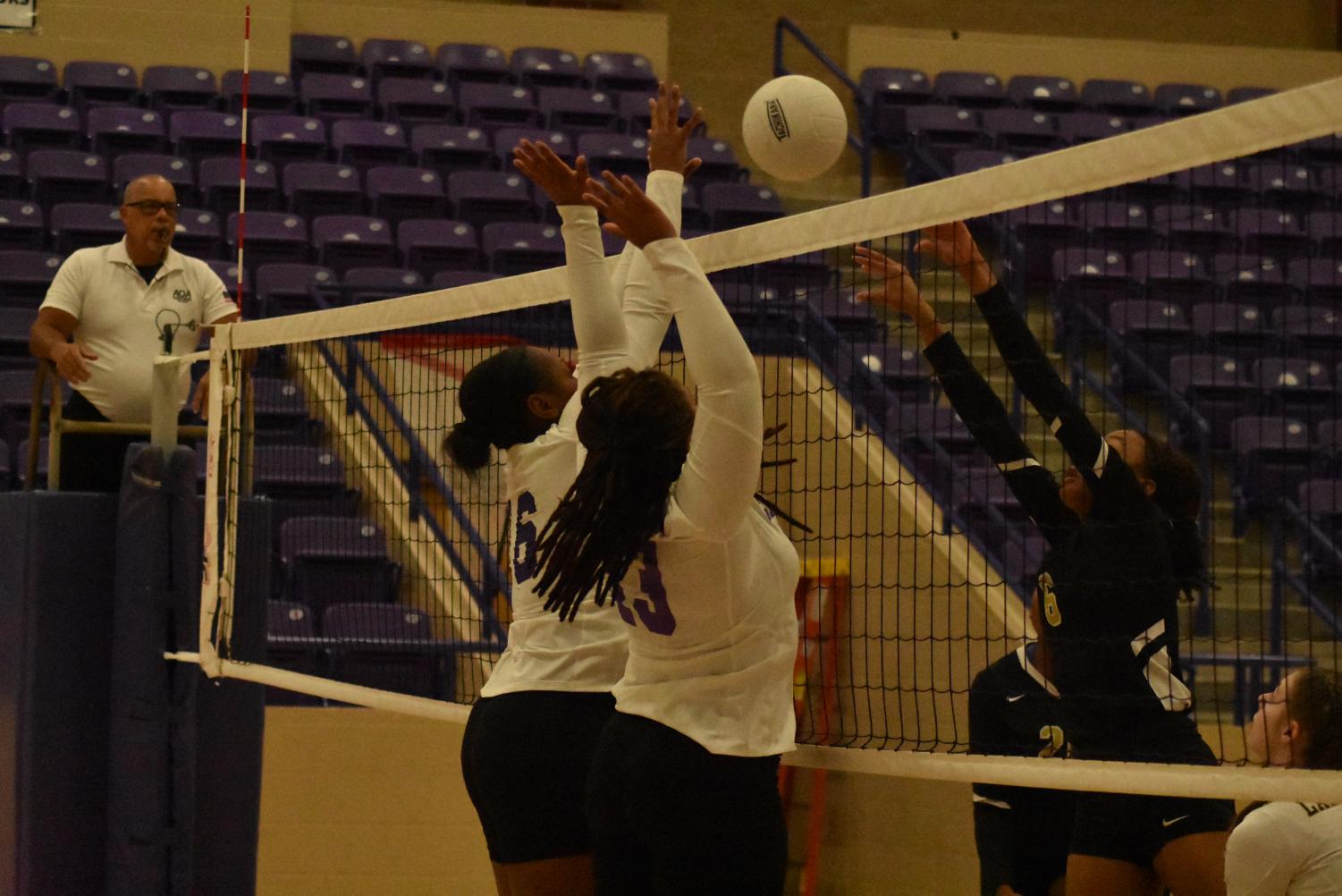 Lady Cats Go Against Hot Springs On Tuesday