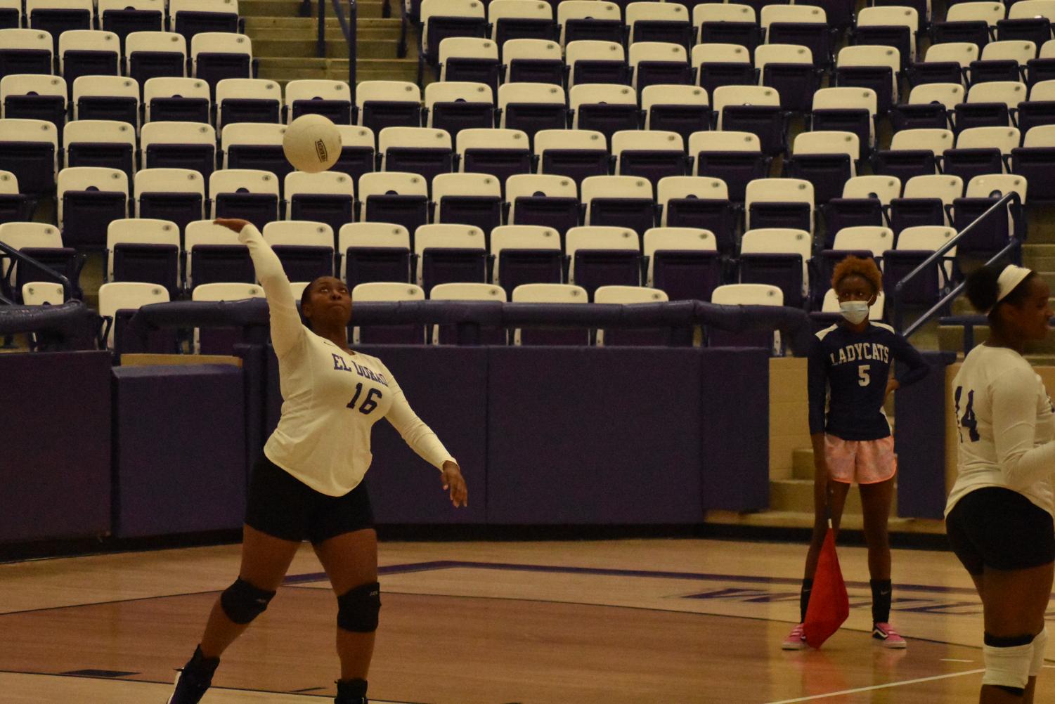 Lady Cats Go Against Hot Springs On Tuesday