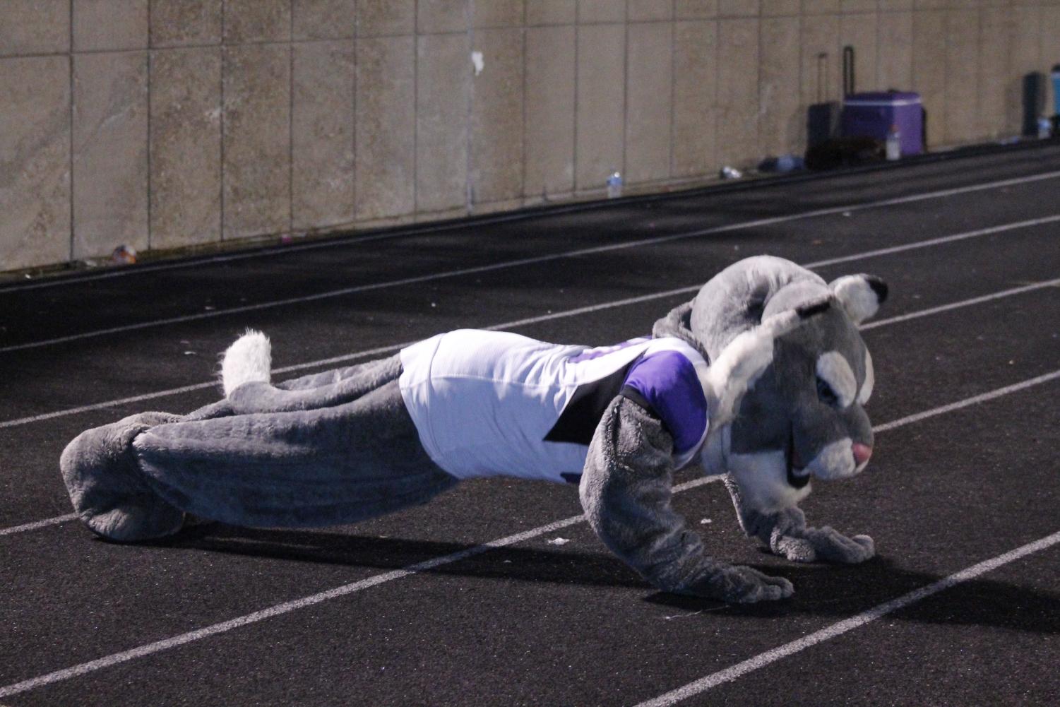 The Party's With The Cats At The El Dorado Homecoming Game