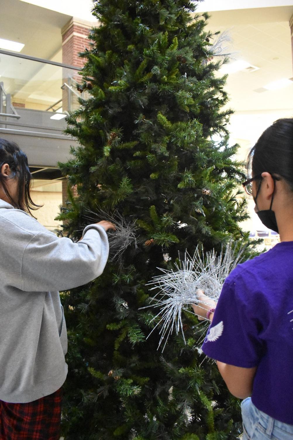 Student Council Decorates The School Christmas Tree