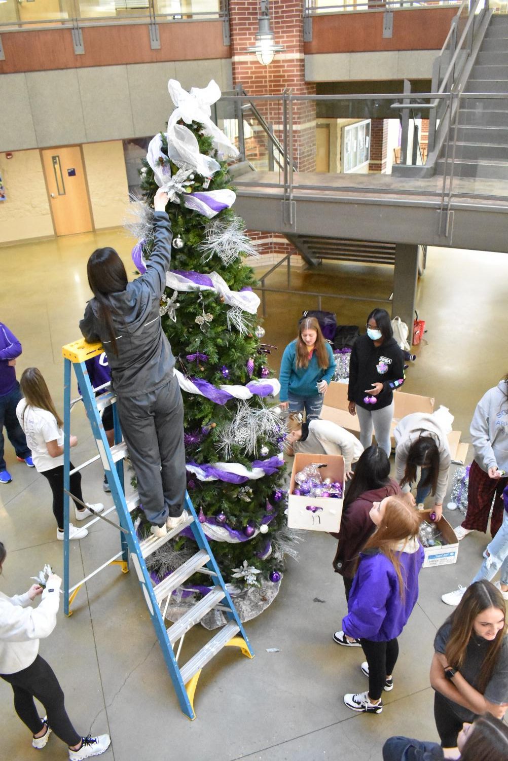 Student Council Decorates The School Christmas Tree