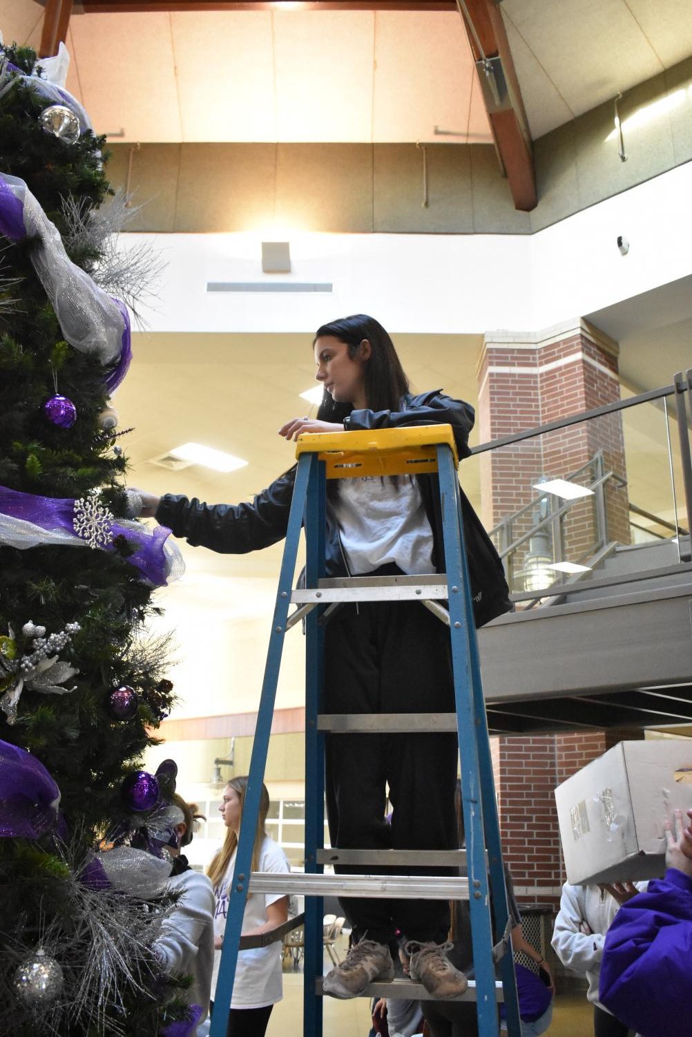 Student Council Decorates The School Christmas Tree