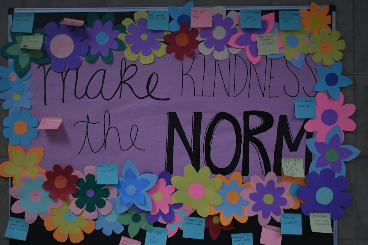 Make Kindness the Norm!