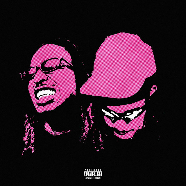 Pink Dreads Album Cover